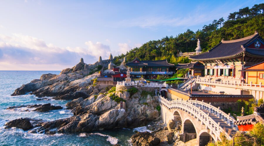 WTC holidays-south korea package